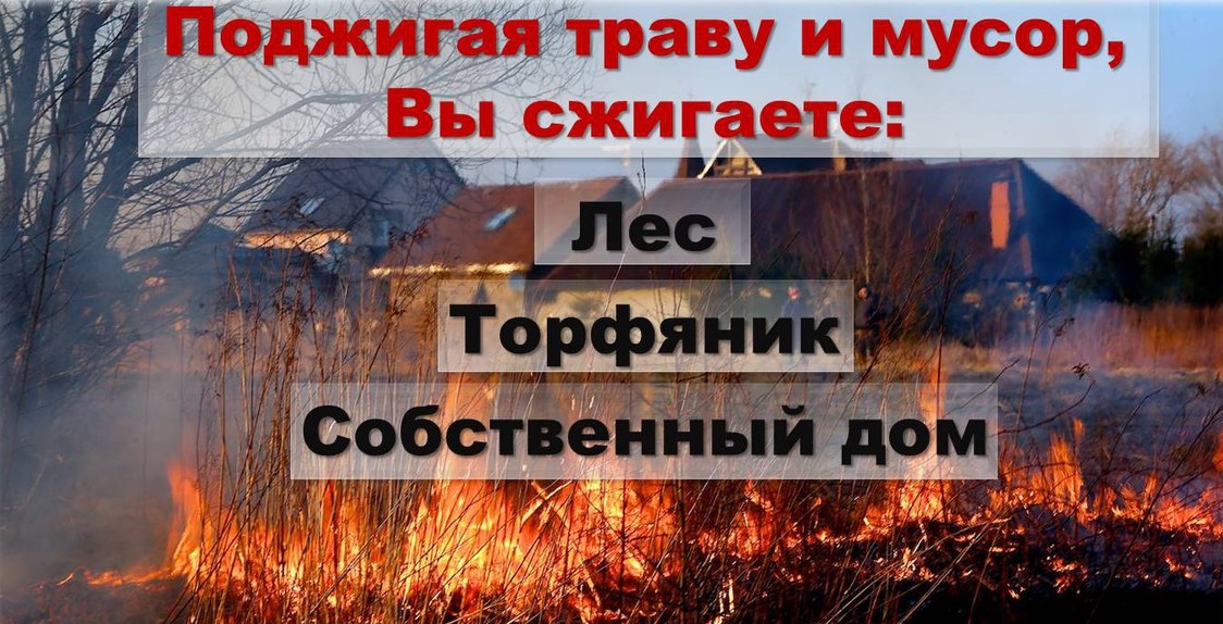 Памятка по правилам пожарной безопасности в весенне-летний пожароопасный период.